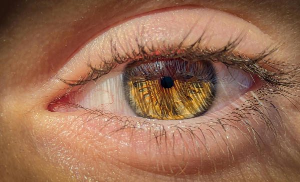 Close up of a brown eye - iridology
