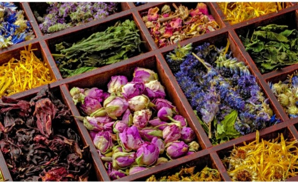 What Is Herbal Medicine? A Beginner's Guide to How Plants Actually Heal