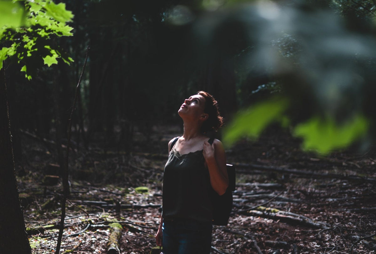 Forest Bathing: Why Time Outdoors Is So Good for Your Wellbeing