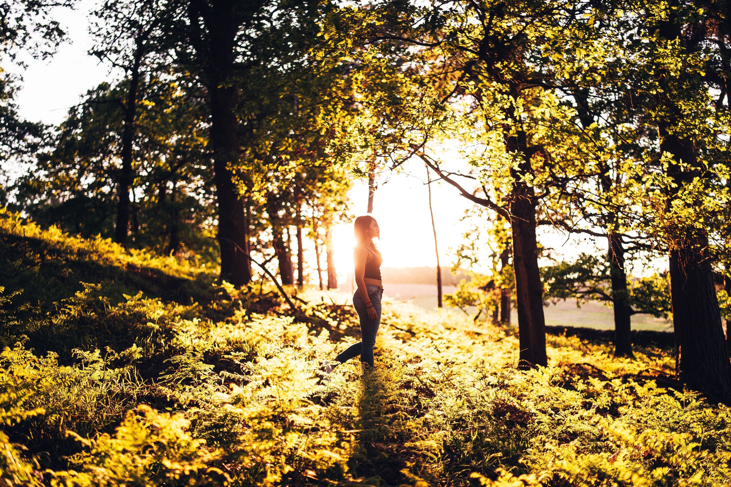How to Follow and Trust Your Intuition