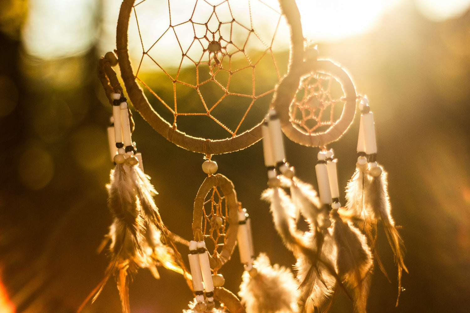 Shamanism Practitioner Course