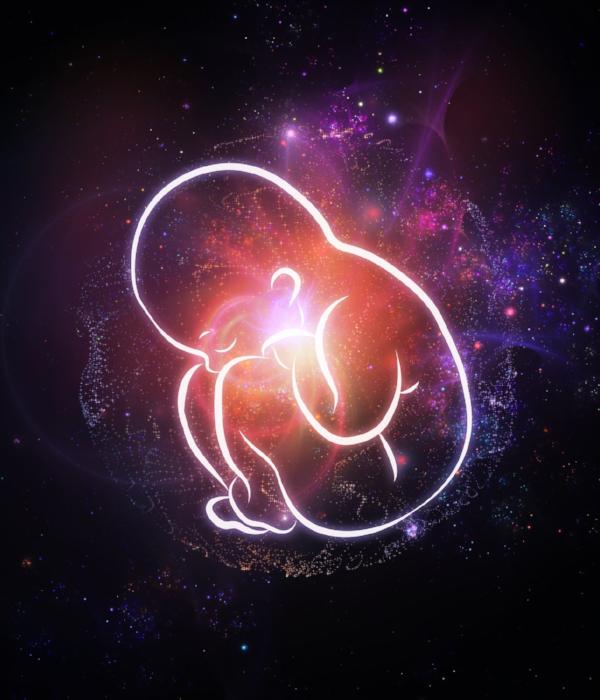 Graphic of an infant child in starry womb