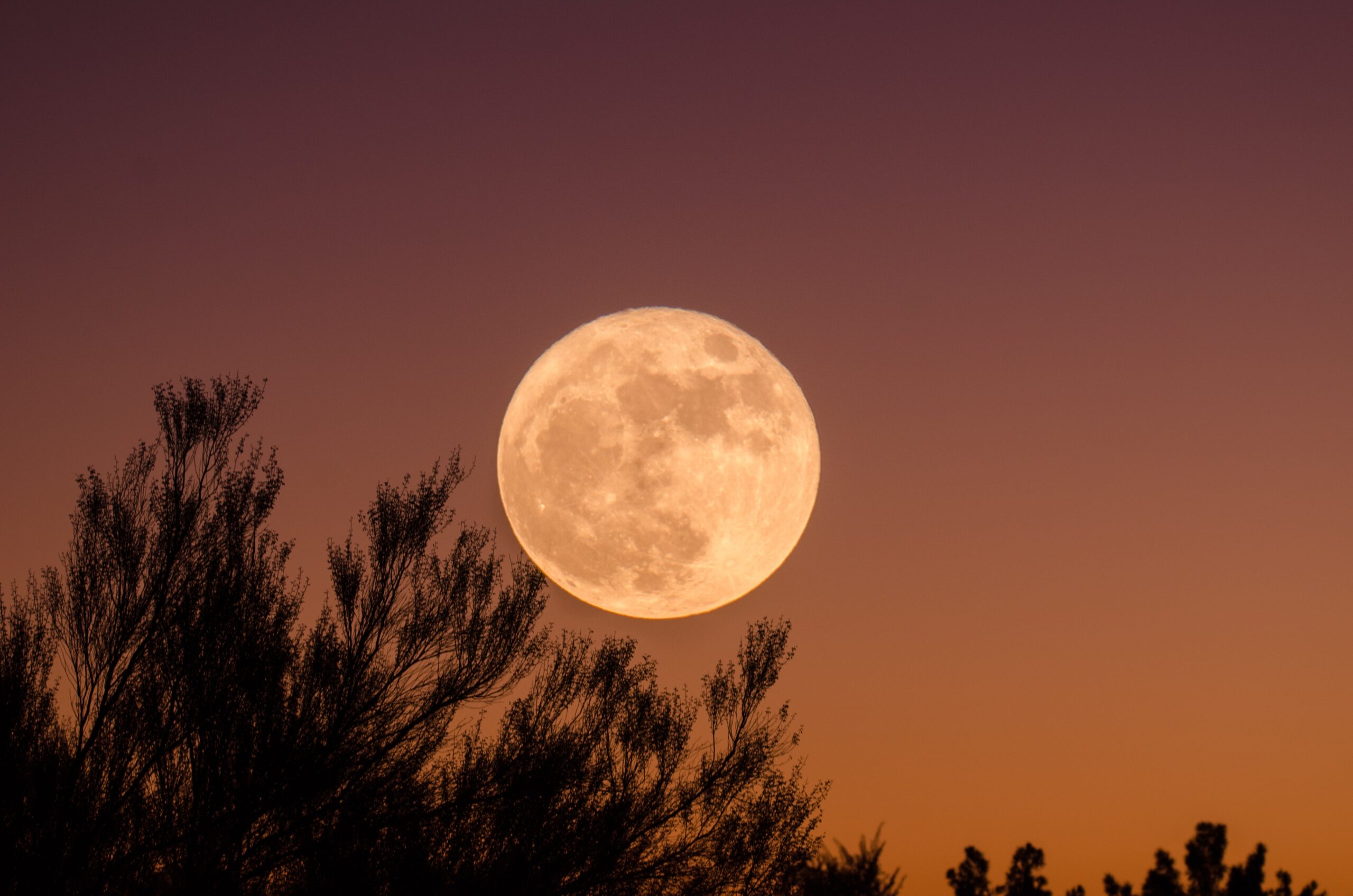 Read more about the article Harnessing the Energy of the Full Moon: A Guide to Lunar Rituals