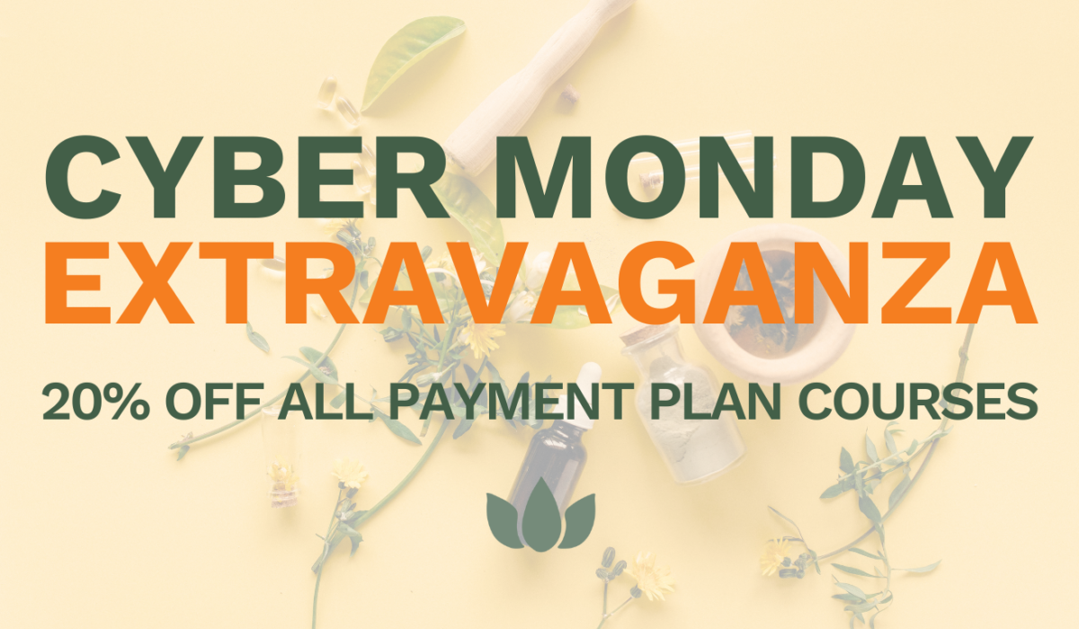 Cyber Monday - 20% Off Payment Plan Courses